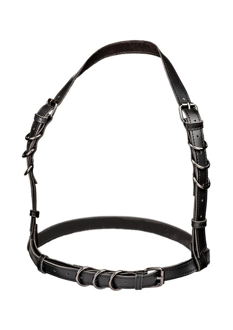 Euphoria Collection Halter Buckle Harness - Image 2