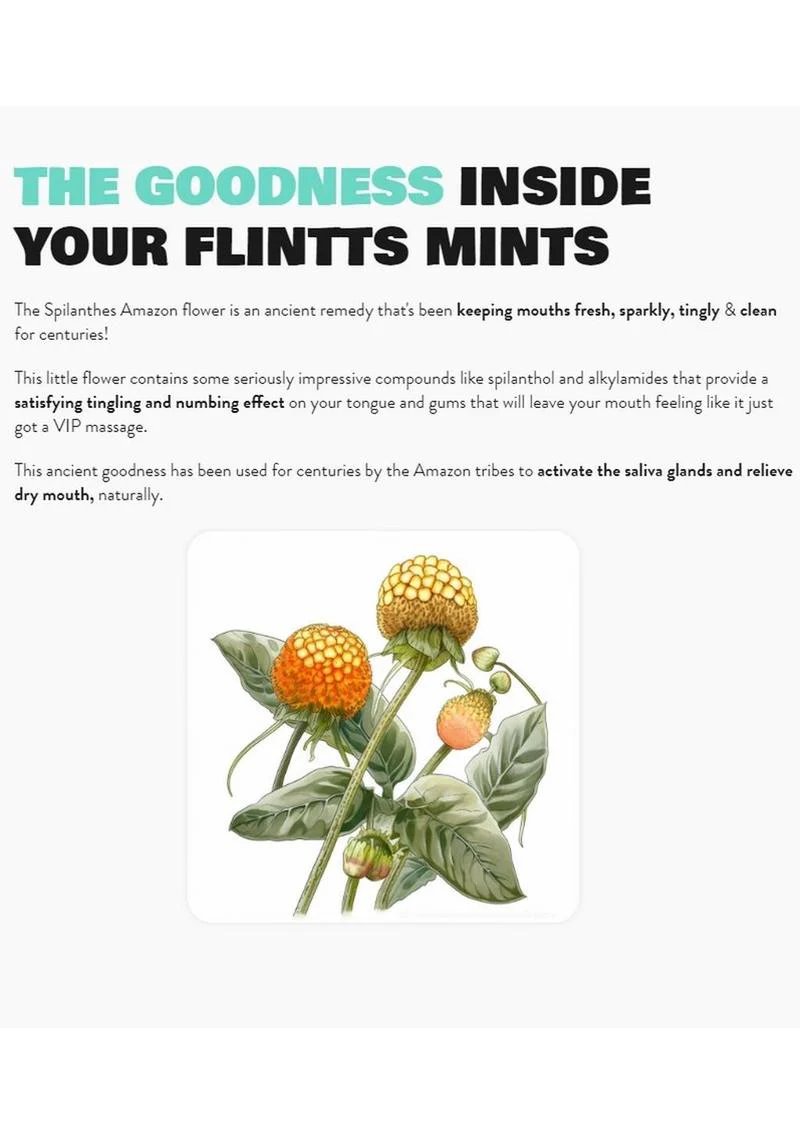 Flintts Mints Mouth Watering Oral Delights - Lemon - Image 4