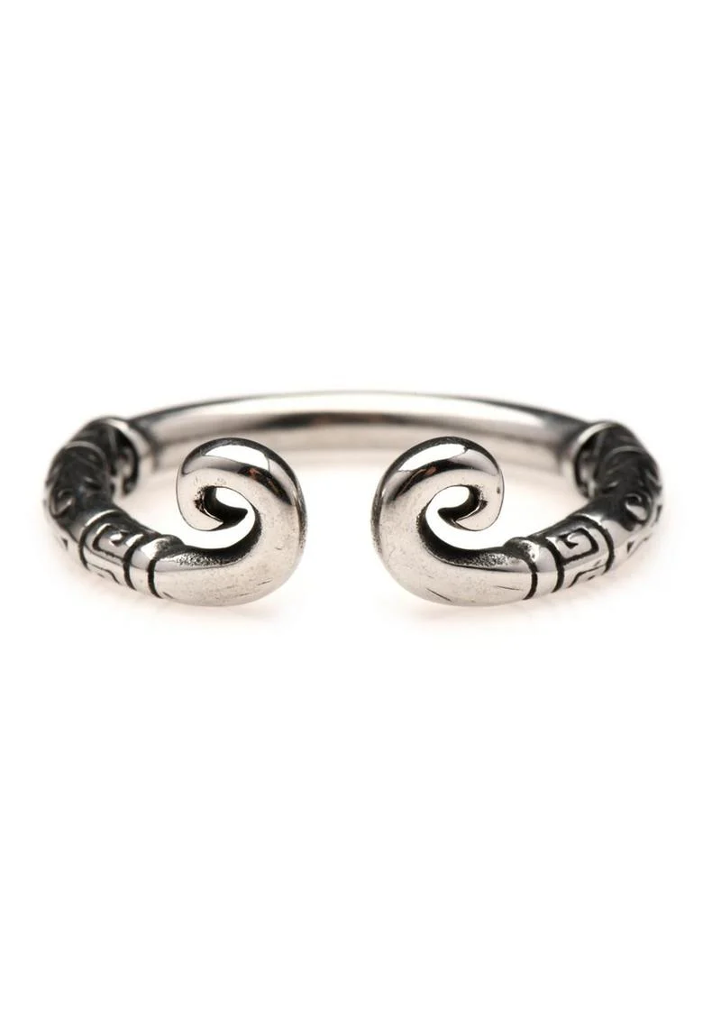 Master Series Kingpin Stainless Steel Glans Ring - Image 8