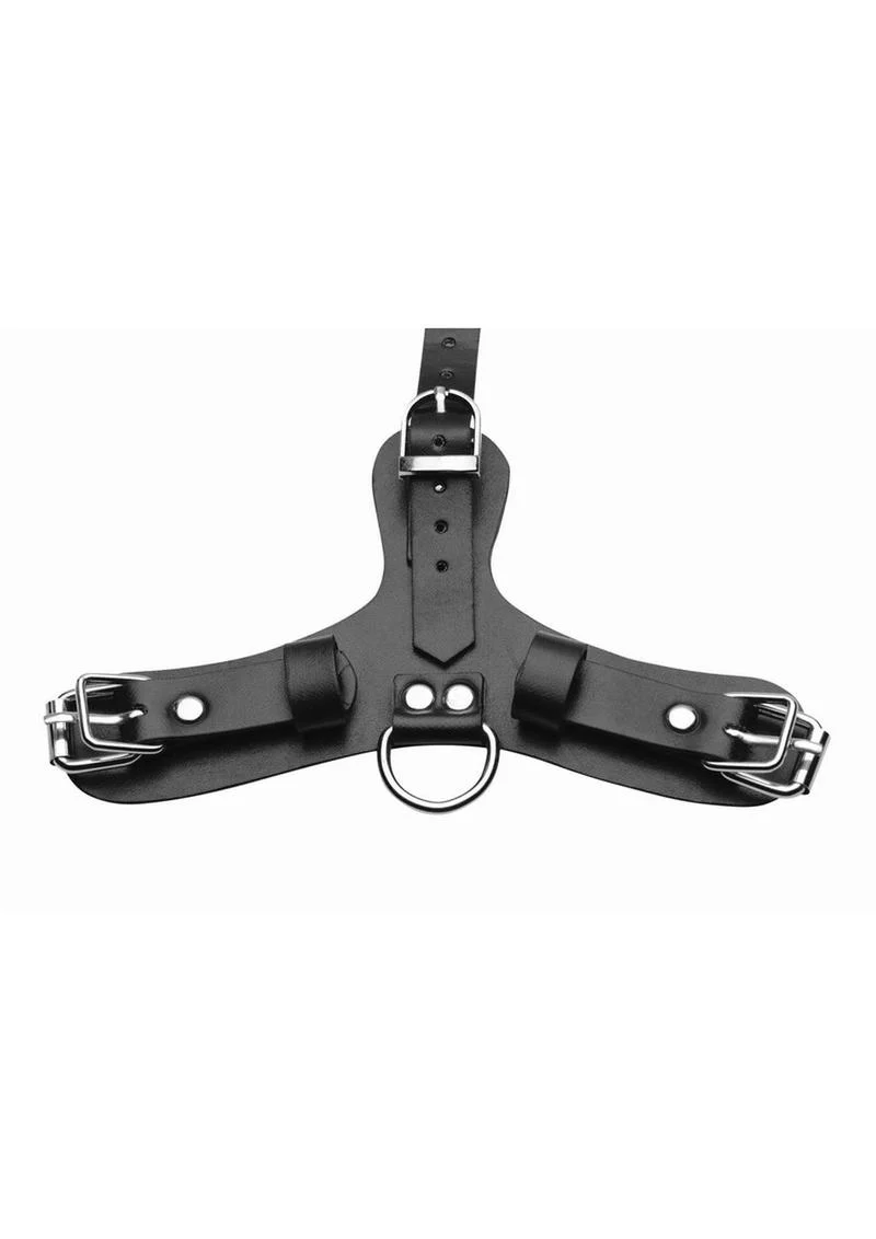 Master Series Pup Puppy Play Hood + Breathable Ball Gag - Image 3