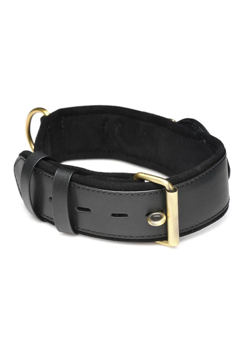 Master Series Tracer Tracking Collar - Image 2