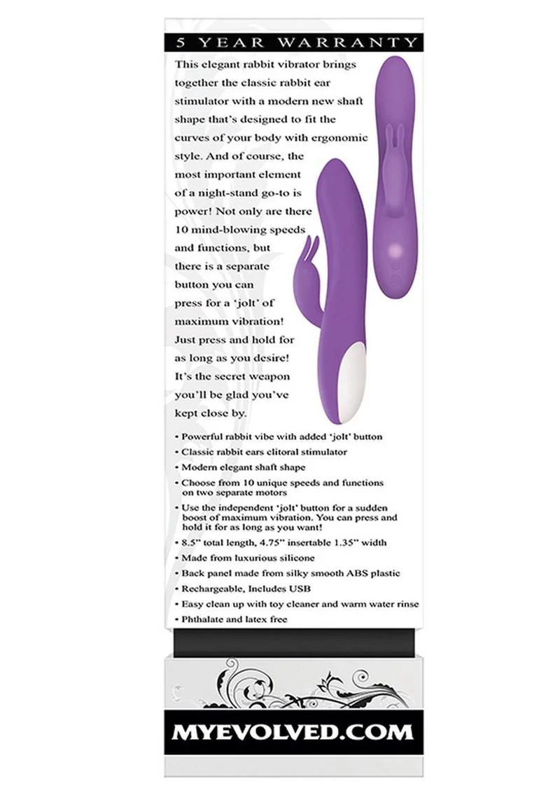 Romantic Rabbit Rechargeable Silicone Vibrator with Dual Motors - Image 2