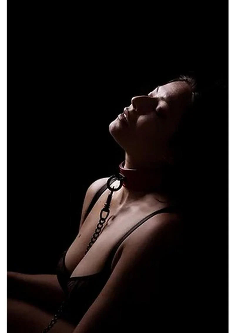 Rouge Anaconda Leather Adjustable Collar 1 Ring - Image 3