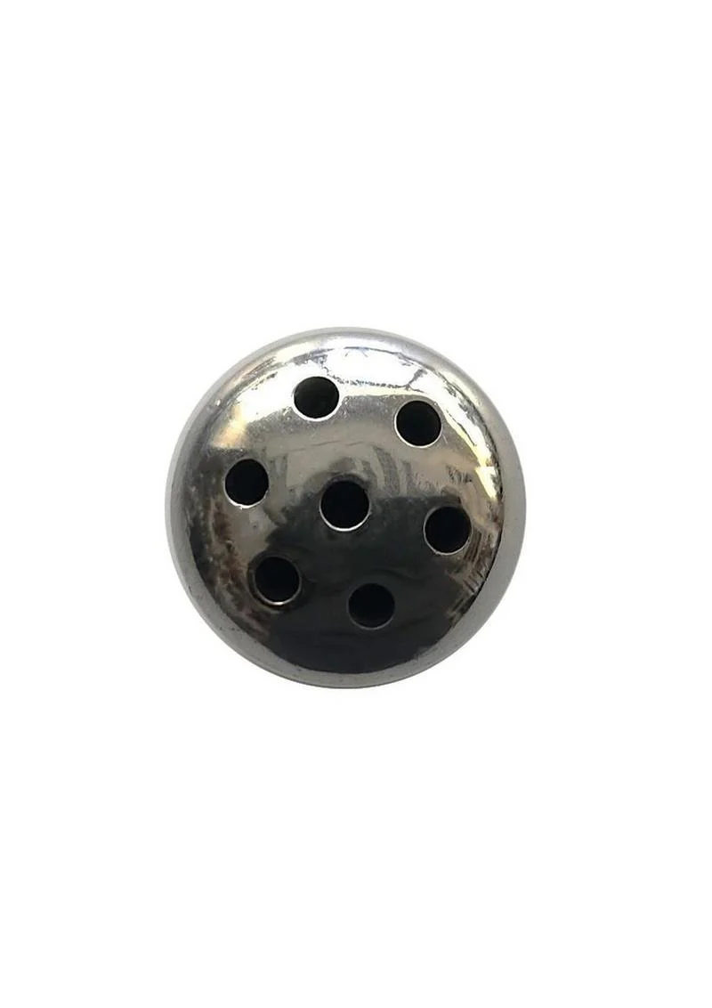 Stainless Steel Shower Penis Plug - Image 4